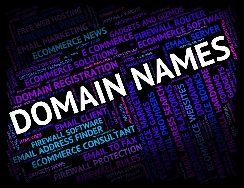 Domain Names Showing Moniker Tag And Designation
