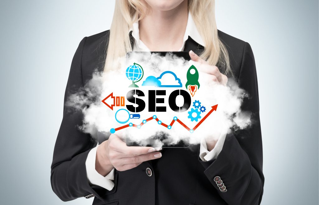 seo 
search engine optimization optimisation   organic search results 