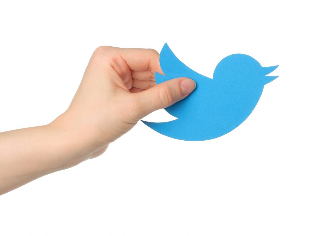 KIEV, UKRAINE - JANUARY 16, 2015: Hand holds twitter logotype bird printed on paper. Twitter is an online social networking service that enables users to send and read short messages.