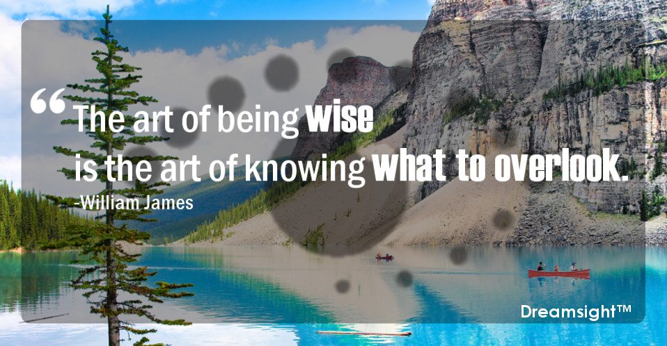 The art of being wise is the art of knowing what to overlook.