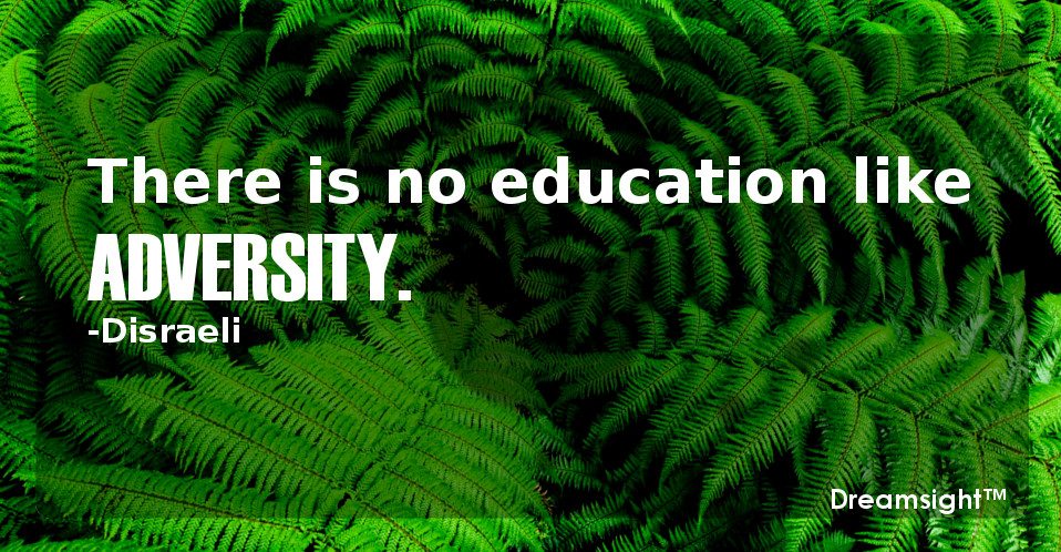 There is no education like adversity