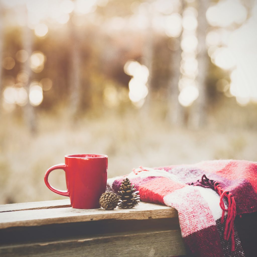 Cup of tea hot chocolate winter cozy Christmas cold x mas xmas 