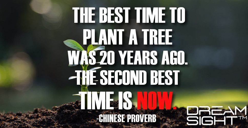 dreamight_marketing_dream_quote_the_best_time_to_plant_a_tree_was_20_years_ago_the_second_best_time_is_now_chinese_proverb