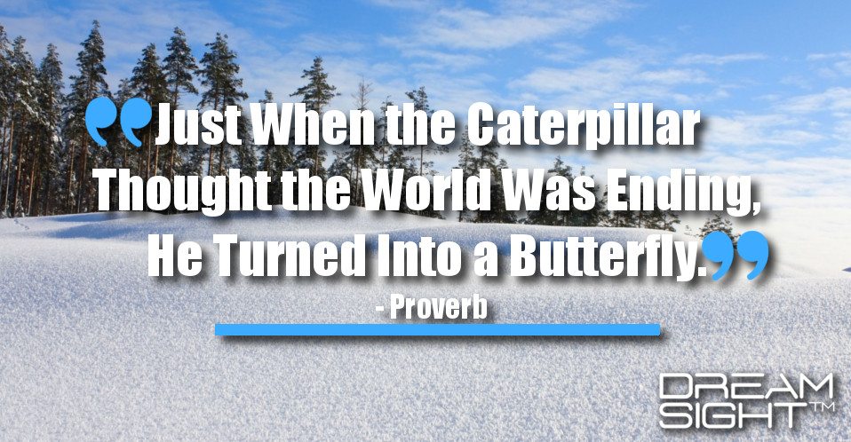dreamight_marketing_dream_quote_just_when_the_caterpillar_thought_the_world_was_ending_he_turned_into_a_butterfly_proverb